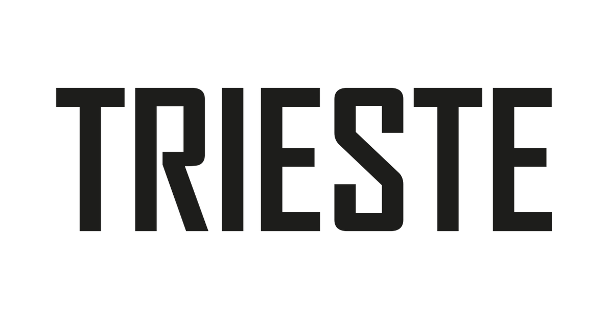 Professional Diver Watches for Adventurers – triestewatches